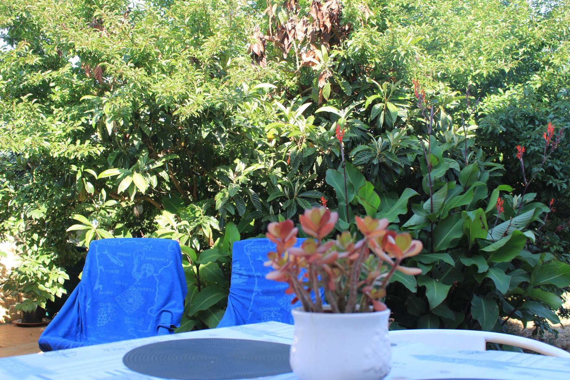 Blue Room Pedralva Dış mekan fotoğraf